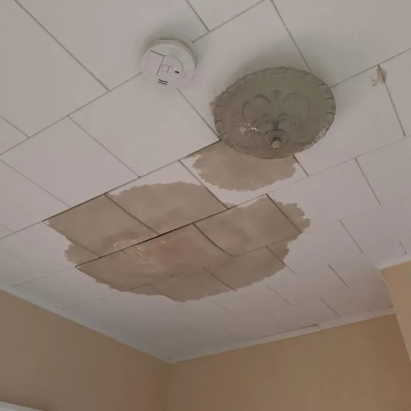 Ceiling Water Damage Repair in Hilo, HI